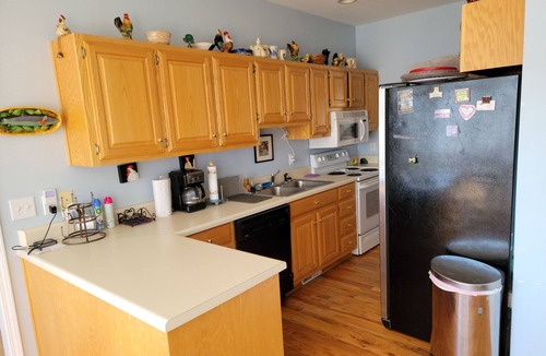 Fair Play House | Blues Brothers Hideaway - Lakefront - Fenced yard - Pets Welcome - Clemson 20 mi