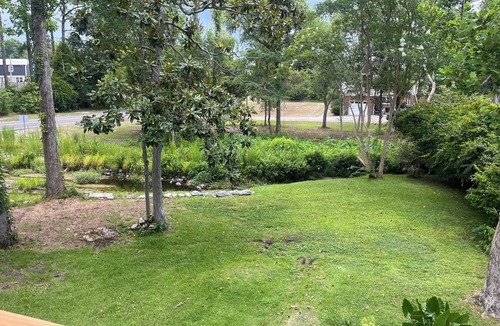 Wilmington Cottage | Brand New Custom 1BR 1BA Cozy Creekside Cottage on Wilmington's Cross City Trail