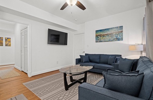 Pentagon City Apartment | Brightly Lit English Basement With High Ceilings And Extra Large Windows
