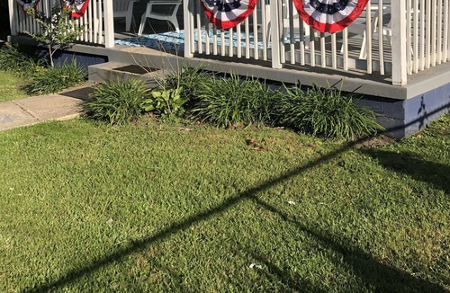 Issue House | Bring your golf cart!