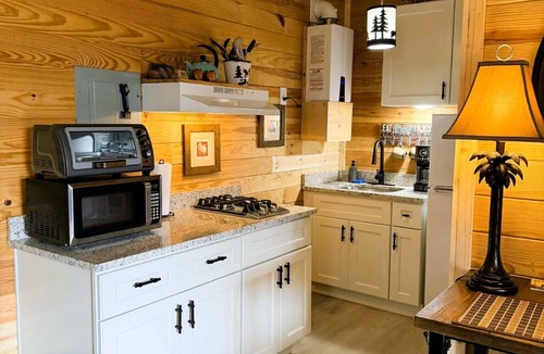 Newland Cabin | Buck Hill Campground Tiny Home Cabin #5 Honeymoon Suite