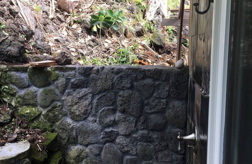 Kahaluu-Keauhou House | Bungalow 1 with large kitchen, outdoor private shower and 1/2 bath.