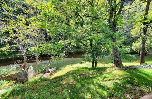 Galax Apartment | Cabin 305 - Mountain Treasure