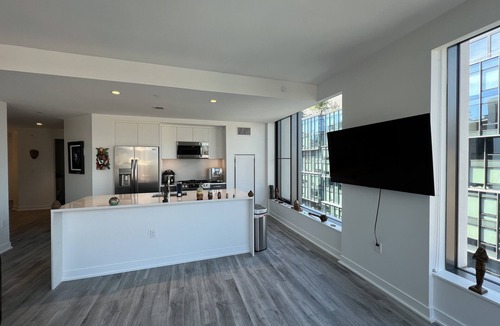 Navy Yard Apartment | Capitol view in heart of Navy Yard & can walk everywhere