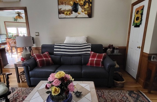 Petersburg House | Charming 1-bedroom house in Petersburg with AC, WiFi. Enjoy your stay