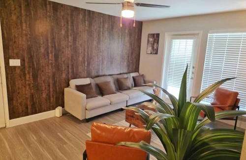 Astrodome Apartment | Charming 3Bed 2Bath apt in front of NRG and near TMC