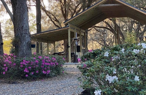 Williston House | Charming Farmhouse Nestled in Oak Forest 20 mins from Ocala