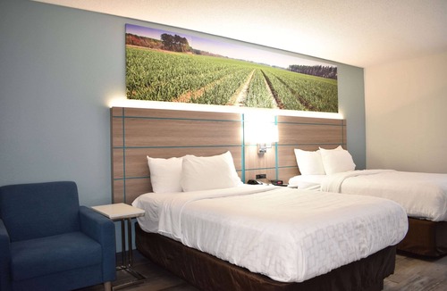 Vidalia Hotel | Clarion Pointe Vidalia - Lyons West