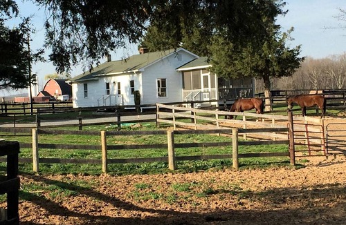 Gordonsville Cottage | Classic Cottage Rental on Huge Horse and Cattle Farm near Charlottesville