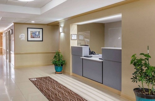 Greensboro Hotel | Comfort Inn Greensboro - Kernersville