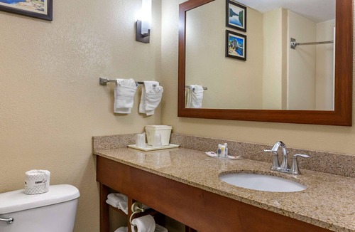 Clayton Hotel | Comfort Suites Clayton - Garner
