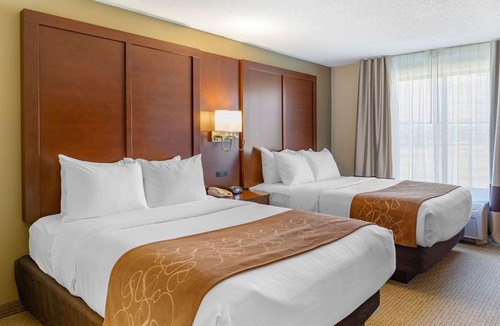Witmer Hotel | Comfort Suites Lancaster Amish Country