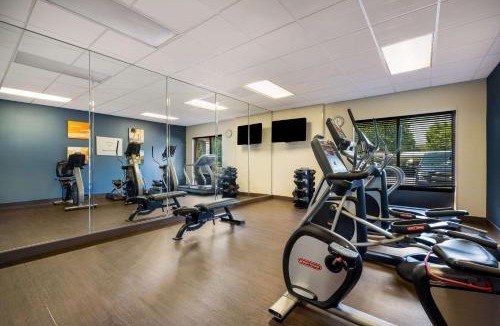 Paw Creek Hotel | Comfort Suites Northlake