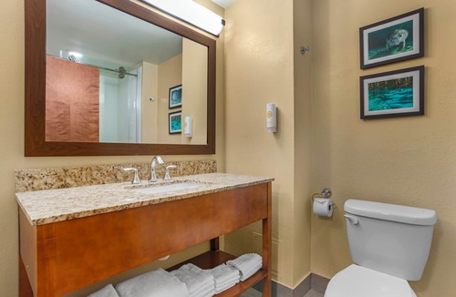 Tallahassee Hotel | Comfort Suites Tallahassee Capitol - University Area