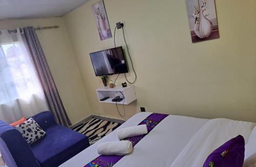 Eldoret Apartment | Comfy Studio
