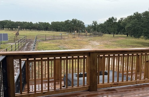 Lampasas Condo | Coming Soon! Immersive Giraffe experience in our rustic luxurious condo.