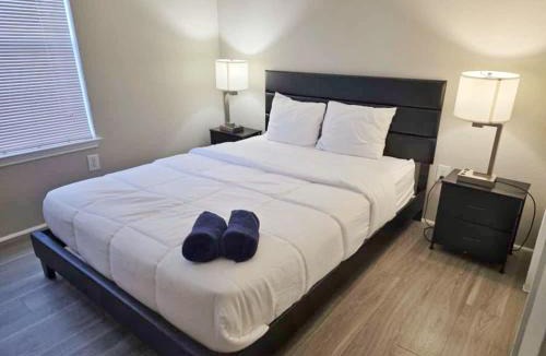 Astrodome Apartment | Cool 2Bed 1Bath 5 min walk to NRG and Medical Center