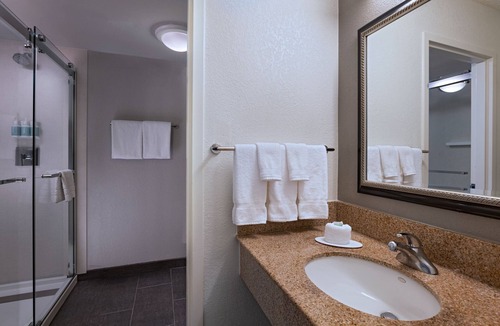 Arlington Hotel | Courtyard by Marriott Dallas Arlington/Entertainment Dist