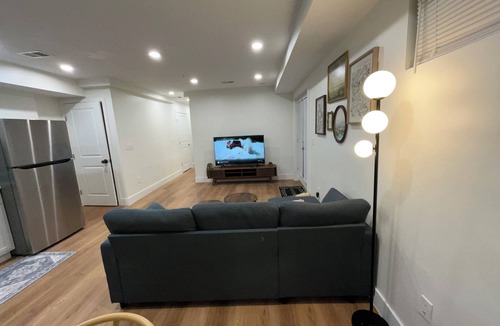 Washington House | Coze & Stylish Basement Retreat