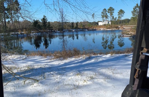 Norman Park Cabin | Cozy 1-bedroom cabin with 2 ponds