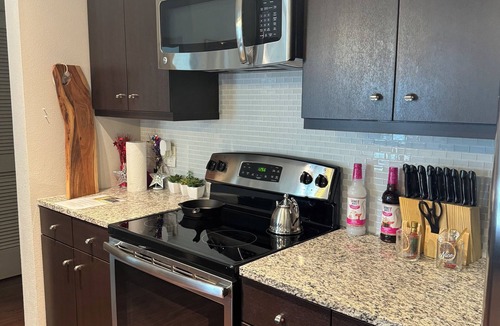 Houston Apartment | Cozy 2B2B Pool/Skyline View Near Galleria Mall