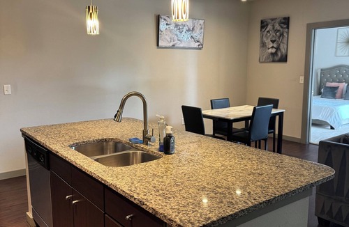 Houston Apartment | Cozy 2B2B Pool/Skyline View Near Galleria Mall