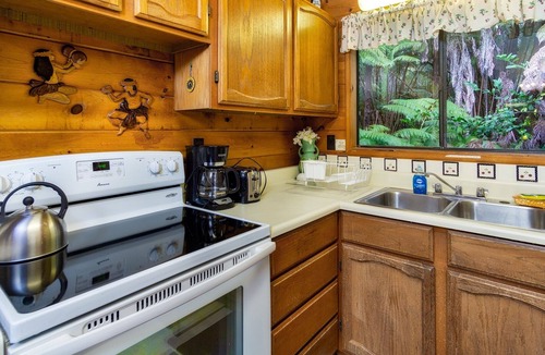 Volcano House | Cozy and Beautiful Home with Lush Private Setting! 🌺 - Volcano Village Cymbidium House 🌋