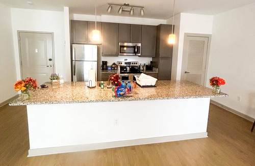Church Hill Apartment | Cozy and Spacious Getaway in Shockoe Bottom,Mins to VCU