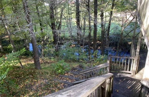 Boone Cabin | Cozy cabin on Howard's Creek! Near Skiing/Snow Tubing/ASU/Hiking/Breweries/Wine!