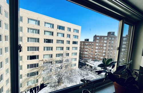 Mount Pleasant Apartment | Cozy Columbia heights studio with lovely cat!
