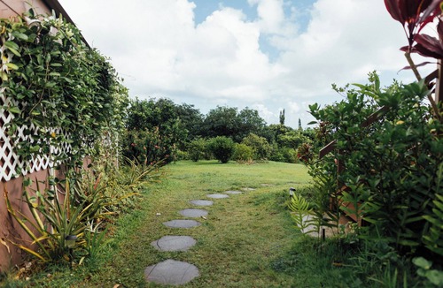 Hana Cottage | Cozy cottage nestled on our 5 acre Organic fruit farm
