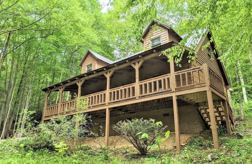 Asheville Cabin | Cozy Cove Cabin -Fire Pit - Porch Swing