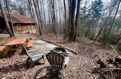 Traphill Cabin | Cozy Forest Cabin Surrounded by Trees near Stone Mountain State Park, North Carolina