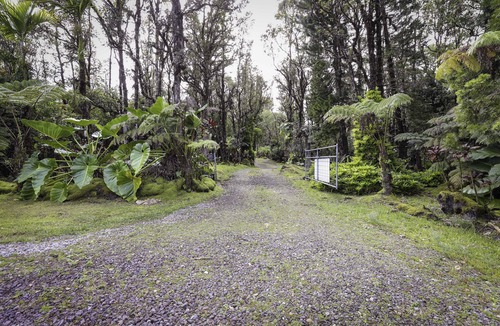 Fern Acres House | COZY HIDEAWAY IN THE OHIA RAINFOREST LOCATED BELOW VOLCANO NATIONAL PARK