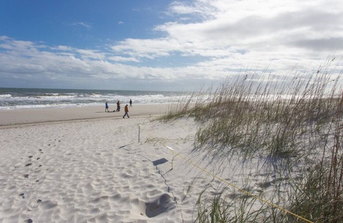 Jacksonville Beach Apartment | Cozy Studio - Close to Bars, Restaurants, and the Beach!