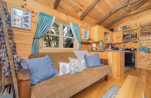 Altamont Cabin | Cozy Tiny Home with HotTub and River View