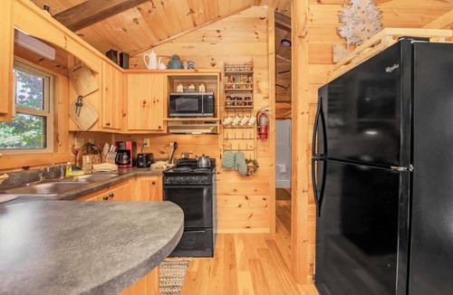 Altamont Cabin | Cozy Tiny Home with HotTub and River View