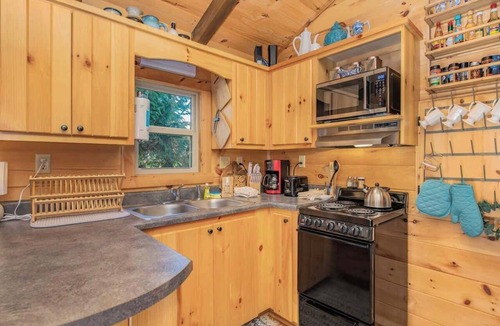 Altamont Cabin | Cozy Tiny Home with HotTub and River View