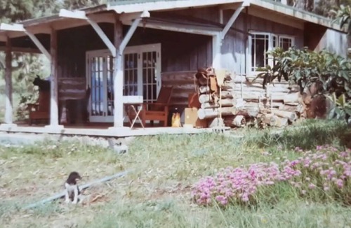 Kula Cabin | Cozy Upcountry Log Cabin