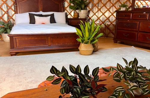 Barnardsville Cabin | Creek Side Yurt, On-Site Sauna/Tea Shop/Market, Edge of Pisgah, Craggy Gardens