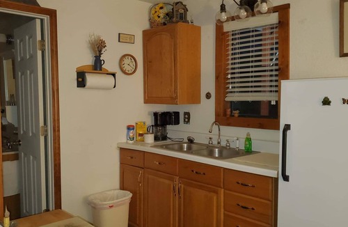 Gober Cabin | Cute Cabin! Secluded and surrounded by Nature.