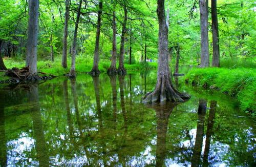 Wimberley House | Deer Run- Cottage