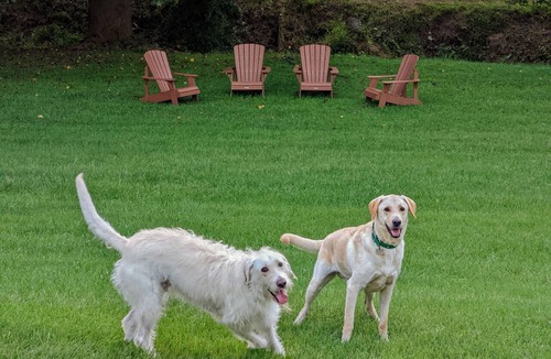 Batesville House | Dog Friendly Cape Cod Loft Near Wineries
