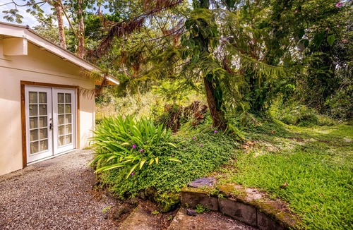 Kapoho Apartment | Dog-friendly studio escape near the beach & town with fast WiFi & kitchenette