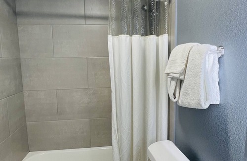 Temple Apartment | Downtown Historic 1 Bed 1 Bathroom Apartment 303