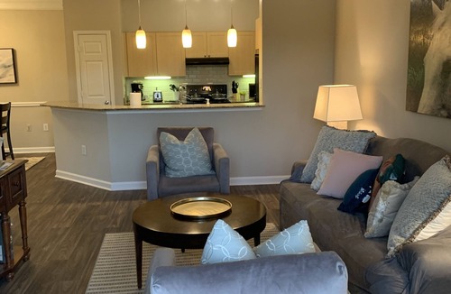 Alpharetta House | Fabulous One Bed/One Bath Corporate Furnished Apt in Alpharetta