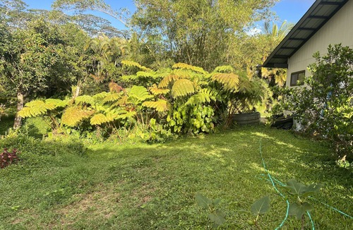 Keaau House | Family friendly, centrally located 2lvl home with epic furniture and fruit trees