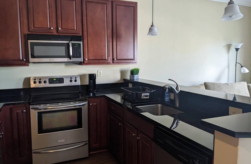 Spartanburg Condo | Fantastic 1.5BR/1BA Condo Downtown Spartanburg, SC