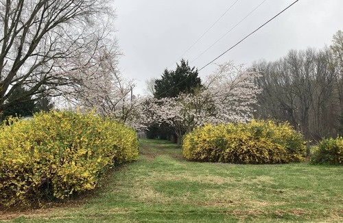 Mocksville Apartment | Farmhouse Charm in Historic Mocksville NC - a small town favorite.