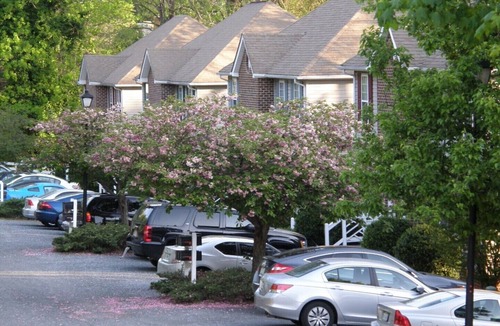 Lynchburg House | Furnished Corporate Townhomes & Apartments